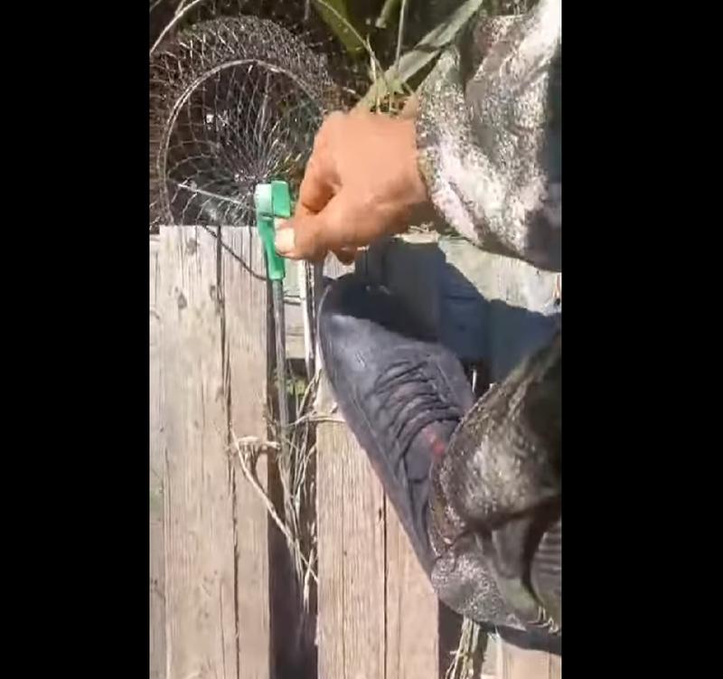 ��� ���� ���� �� ����� ������ �� ����������: �� ����� ������ ����� ������ � ����� ��