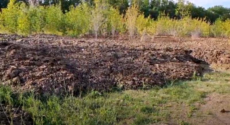 ��� ��� ������ ��� ������! ��� �������� ����� �������� ���� ������ � ������� ������� ��������