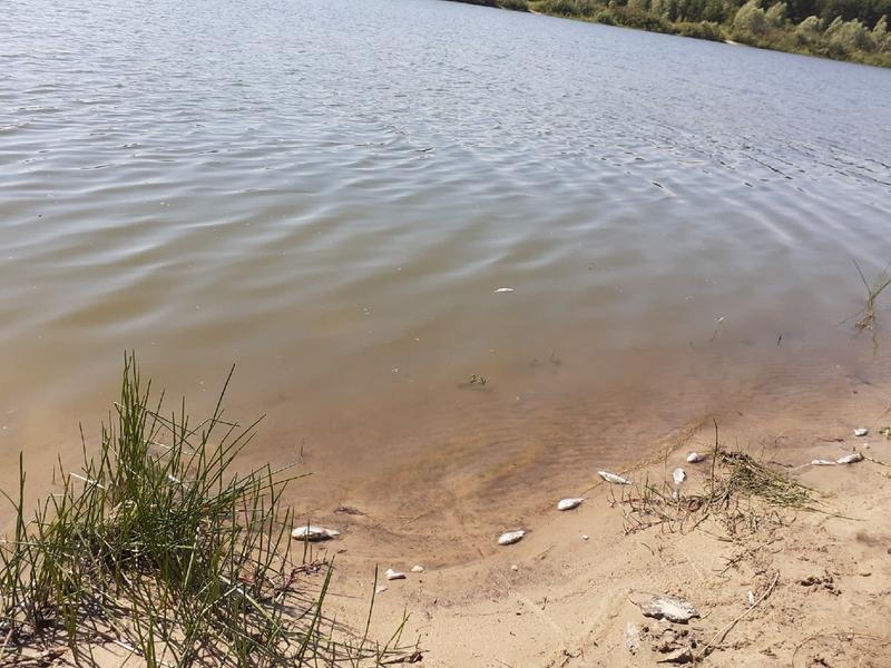 ������ ������� ������ ������ � �����, �� ������ �������, ��� ��� �����������