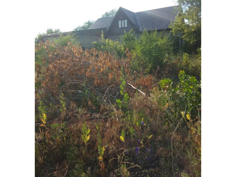 ���� ���� �� ������ ��� ����� ���������� ���� � ���, ���� �� �� ���������� �� �����