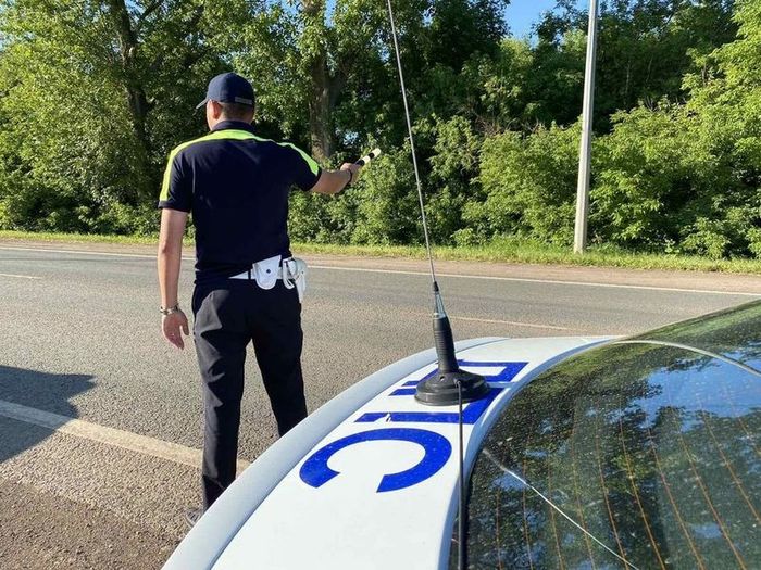 � ���������, ������� ������������ ������, ������ ������ � ��������� �� �� �����������