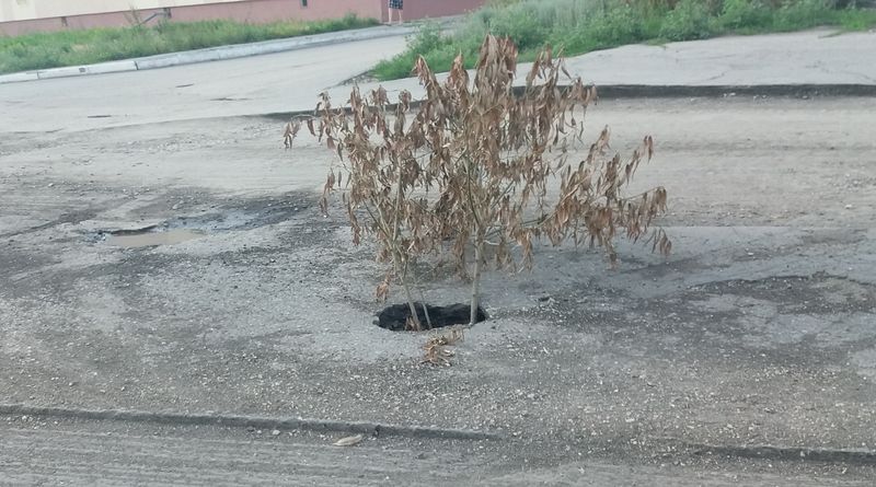 ������� � ����������� ��������� ������ � ������� ���� ��������� - �������� ������ �� �������� ���������� �������