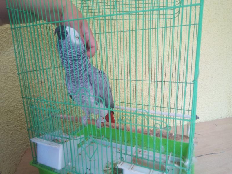 ���������� ����� ����������� ������� ������ �� ����� �� ����� � ������� ������� �������