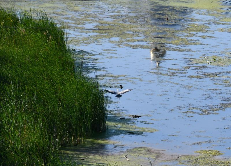 �� �� ������ ����...� - � ������������� ����� ���������� � �������� �������� ��������, ������� ����� ������� �� ���� ���������