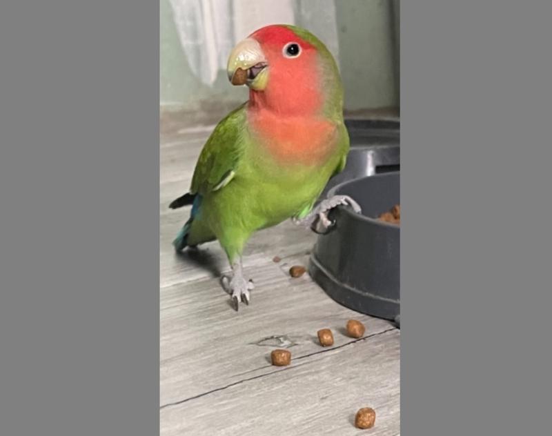 ��� ��� ��������� � �������: ���������� ������� ������ ���� �������������� �� ������ ������������� �������