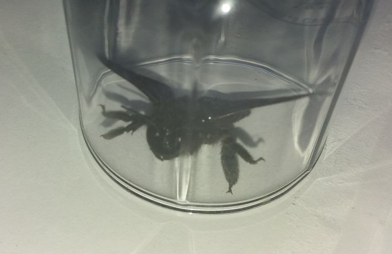 � ������� � ��� ������ �������� ��������, �� ������� ���������, � ��������� �� �������, ��� ������ �����