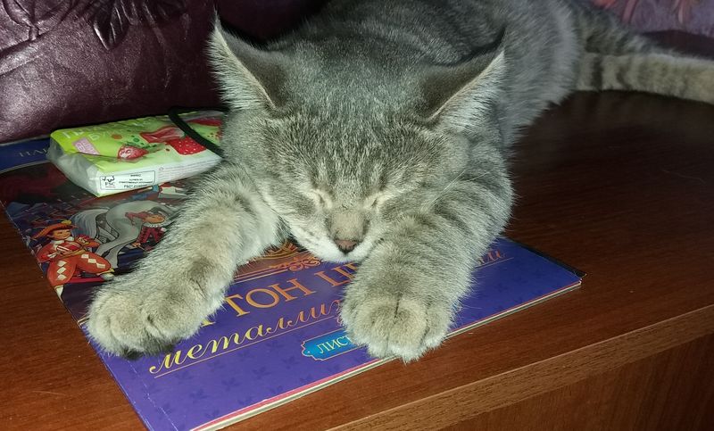 ������������� ������� ��-�� ���� - ��� �� ������, �� ������ ��������� � ������ ��� ������ ���� ������ ������