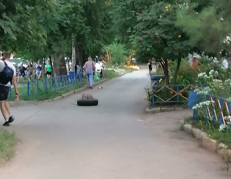 ���������� �� ������� �������, ��� ��� � ����: ���������� ��������, ����������� ������, �������� ��������� �������