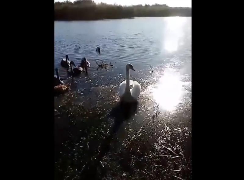 ������ ������ �� ������� �� ����� � ��������, ��� ������� �� ������������