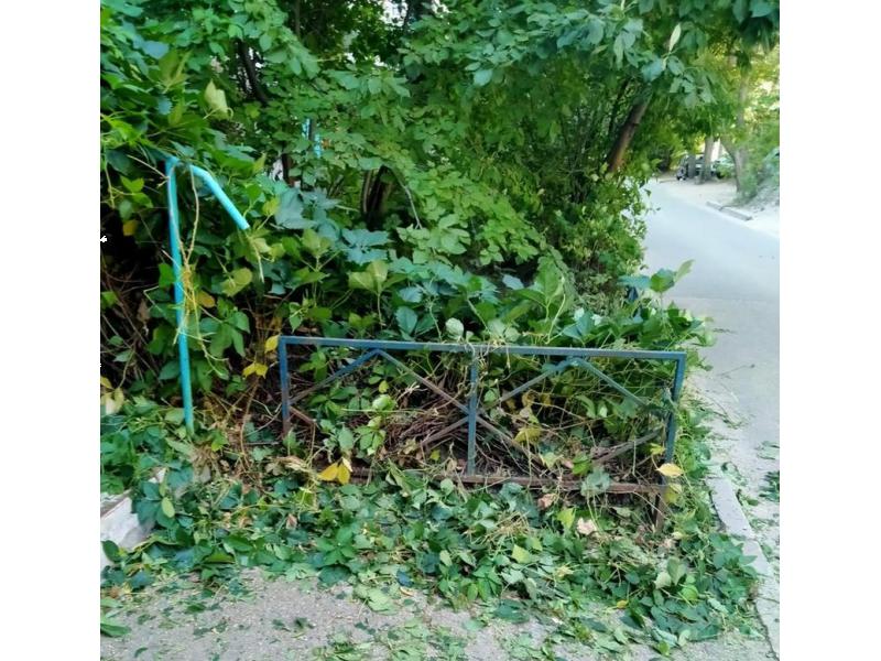 � ������� �������������� ������� � ���������� ��������� ���, ��� ���� �� ���������