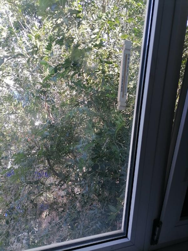 ������� ������� ������������ ����� ����� ������, ����� ������� �� ������: �����