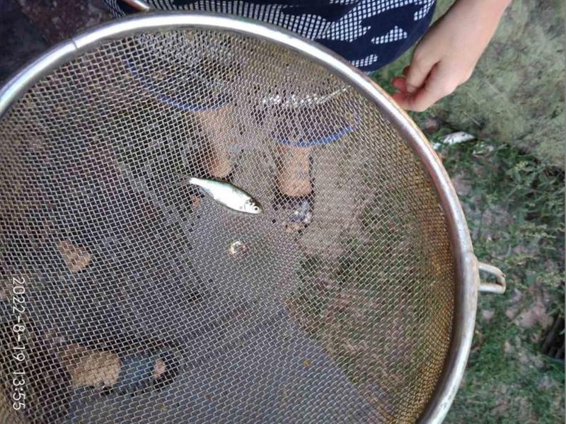 � ������ � ����� � ������������� ����� �������� ����: ������ ��� ������� - ���������