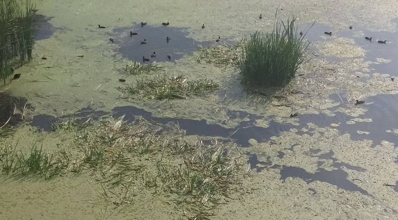 � ������� ����� ����� ������ ���