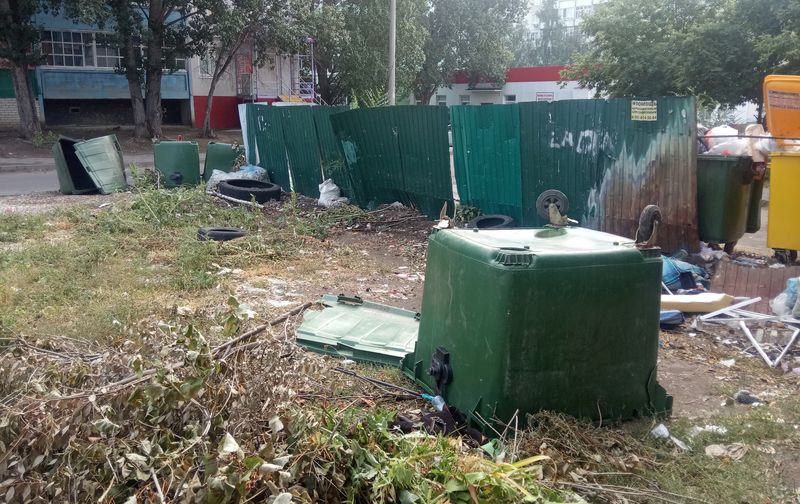 ������ �� ������������ �������� - � ������� ������ � ����������� ����������� ������� ���������������