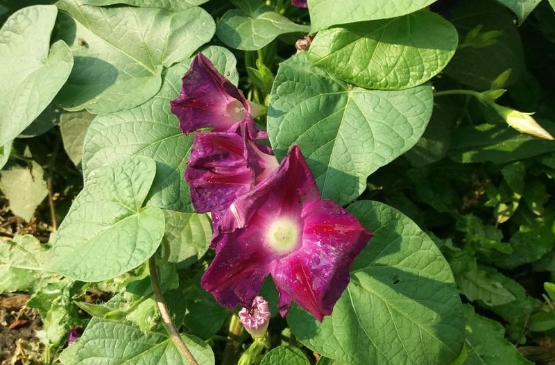 ���������� ������� ����� � ���� �� ����� ���������� ������� �����