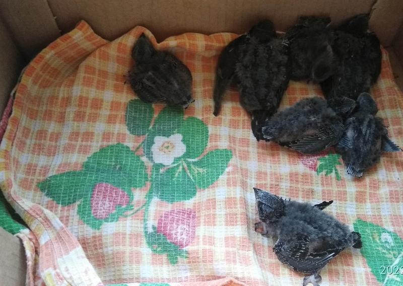 ��� ������� ���������� ����: � �����-��-������ ����� ����� ���������, ��� ������� ��������� �������� ��������� �����