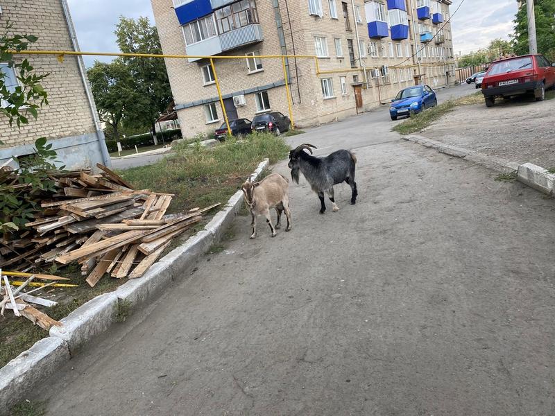 � ������ ���������� ����-����� �������� ���� ������� �����