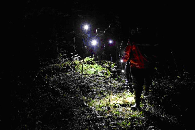 ��� ������� ���� �����: �������, ������� ������� ������ 