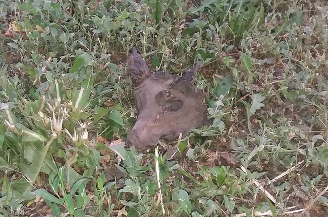 ��������� �������� ���������� ������ ������, ���������� � ���� ��������