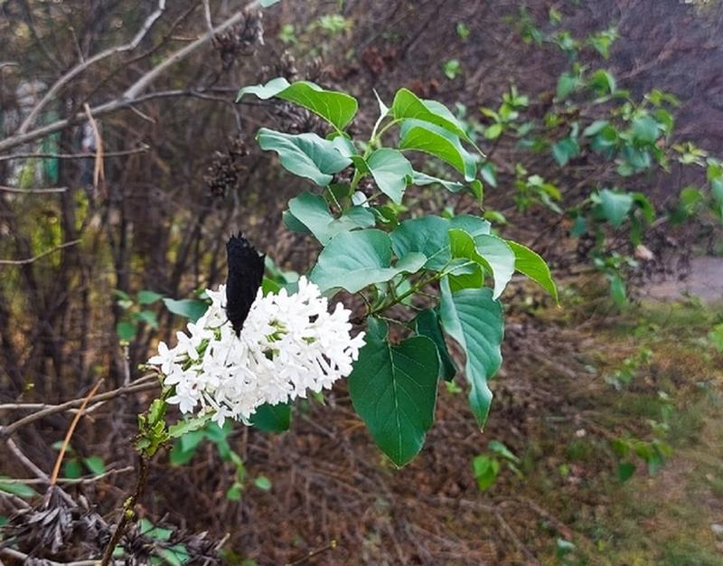 ���� ����: ��� ����� ����������� ������!� ��������� ���� ��������� � ���� ��� ��������