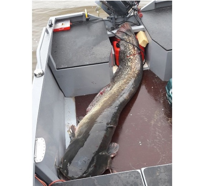 ������ ������� �� �������� ����������� ������� ������� - ���������� � ��� ������, ����� �� 40