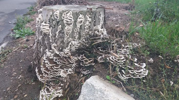 ������������ � �����: �������� ������� ����� �� ������ �������� ���, ������ ����� ���� �������