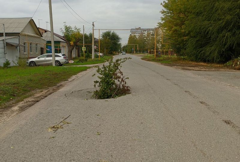 �������� ����� ����������� - ������ �������� �������� ������ ������ ������� �� ����