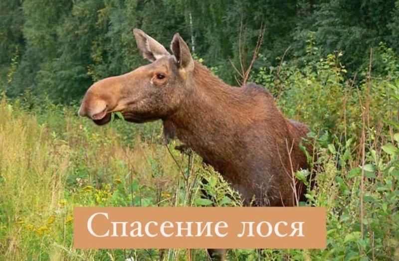 � ������������ ����� � ��������� ������� �������� ���� - � ��� ��� �� ������ ������: �����