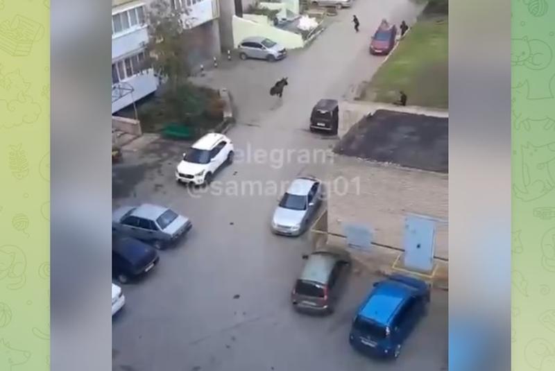 ��������, ��� ����, ����� ������!� ����������, ��� ������ ���������: ���� ��� ����, ���������� �� ���� �����������. �����