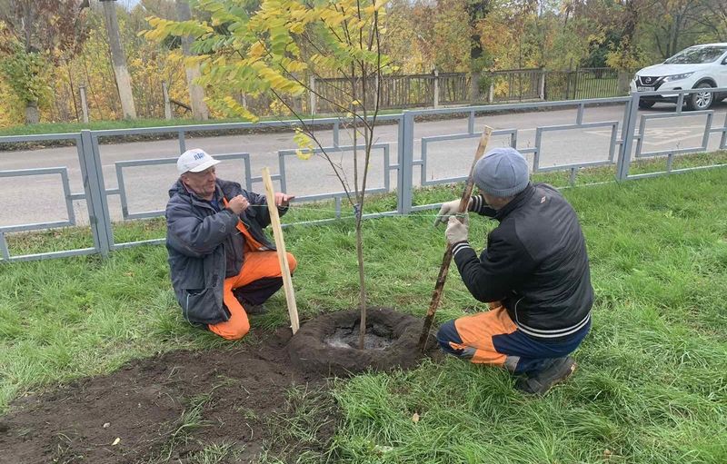 ��������������� ���������� � �������������� ���������� ���������� ���������