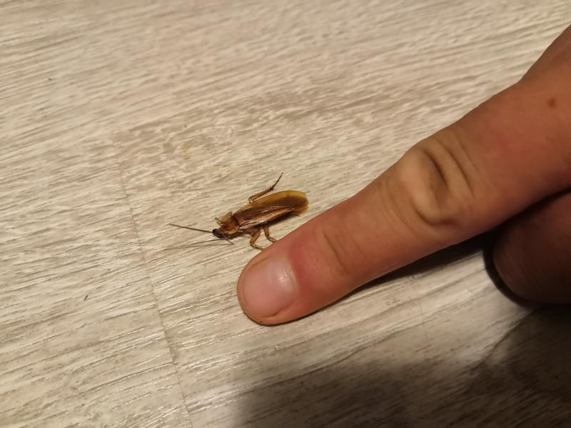 ���� �������������: ������� ���������� ����������� ������ �� ����, ��� ��� ������ �����