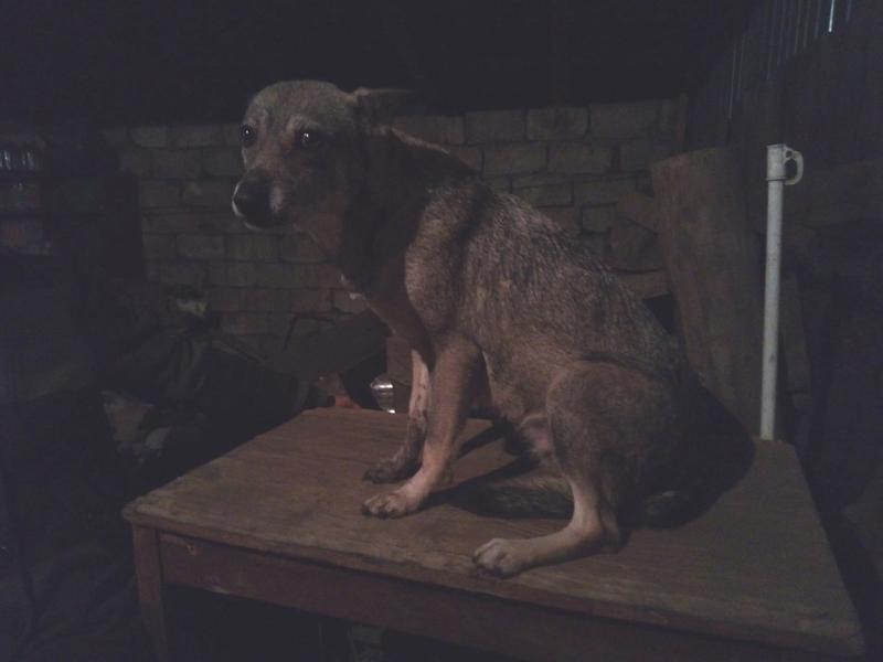 �� ����� �� ����� �� ������: ������� ������� ���������� ������� ������� �� ������ ������