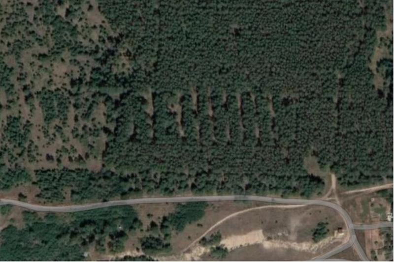 � ���� � ��������� ������� �������� �������� �������: ���� ��� ����� ���������, ��� ��������� ���������