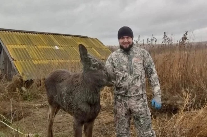 ����� �������� � ��� ��� ��� - �������� ������� � ������������� ���������� ������� �� �����