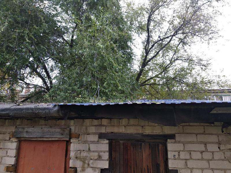 ����� ������� ������ ��������� ���� � �������� �������� ������� ����������