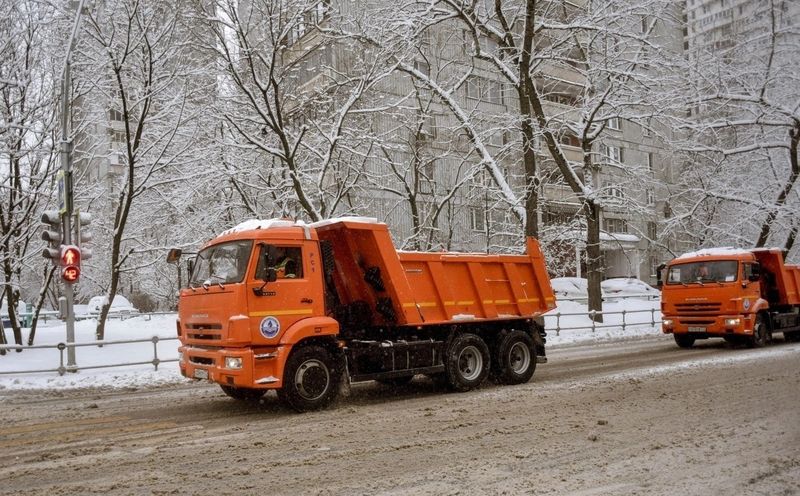 ����� � �������� ���� - ������ ������ ������������ ����� ������, ���������� ����� �������