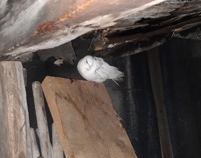 ������-������ �������� � ����������� ���������, ����� � ���������������� �����