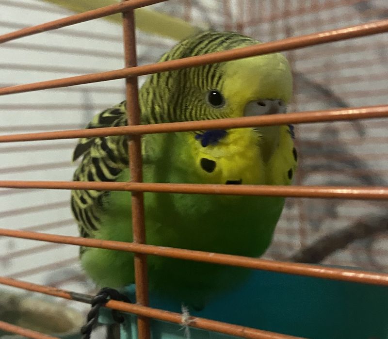 ������ ����������� ������� ���������� �� ���������� ���������� � �����, �� �������� ������ ����������