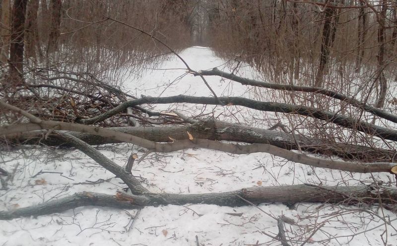 ������ ������ �� ������, ��������� ���� ��������� ������������� ������