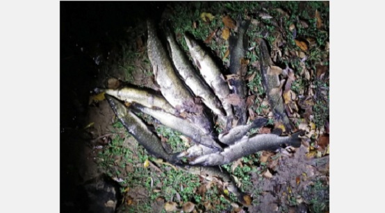 ���� ���������� ���������� � ���� ��������, �� �� ���� ������ ���������� ������ ��� ���