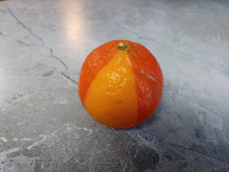 � ��� �� ���? ��������� � �������� �������� � ������������ ������� �������� �������� � �����