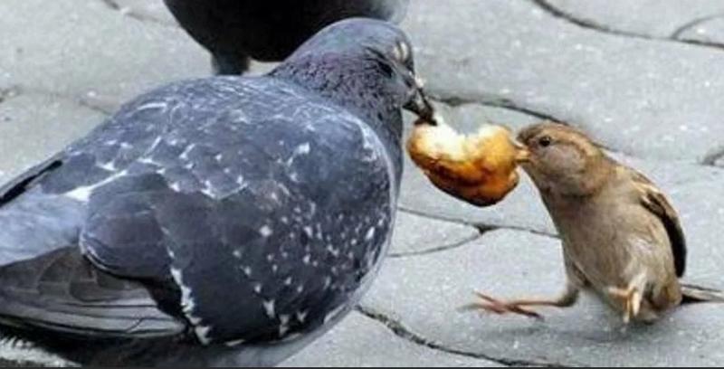 ������ � ������� �������: ��������� ��������� �������� ����� � ��������, �� ������ �� �� ���