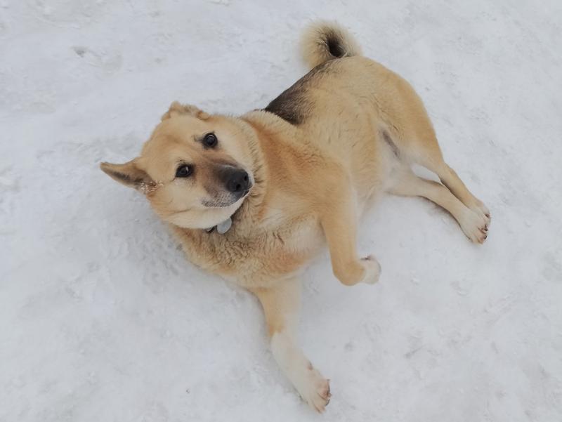 � ������� ���� ��������� �������� ������, �� ���������� ���������� �����������, � ��� ����������� �����