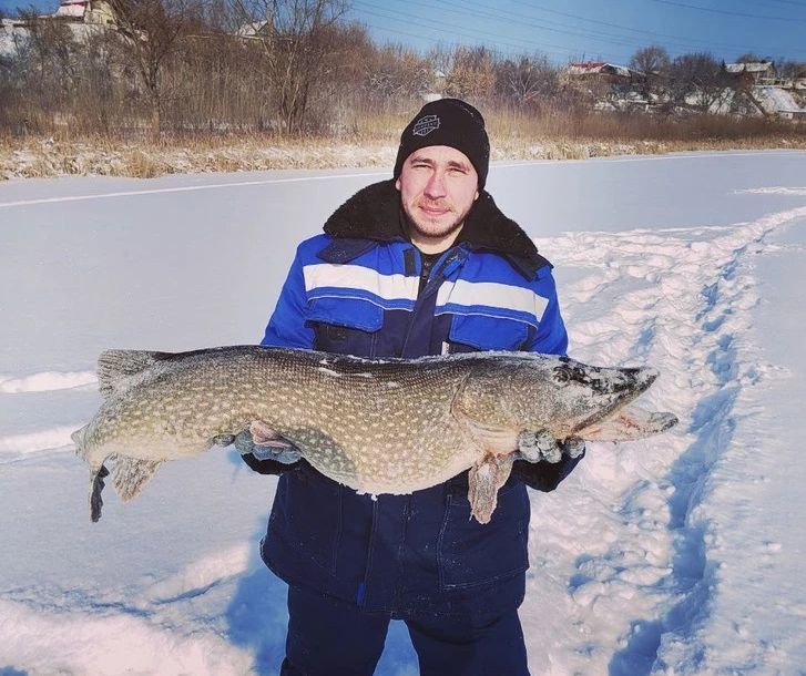 ����� �������� �� ���� ���������� ����, ������� �������� �������� ������������� ��������� �����