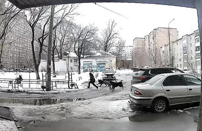 ������� ��������� � ������� �������: ����������� ���������������� ���������� ���� ����� �� ������� � ��������� �������