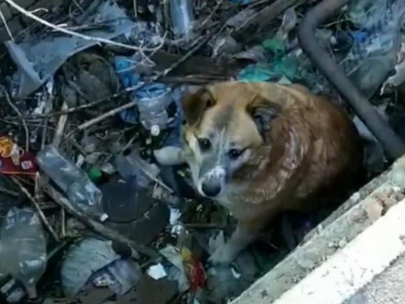 ������-�� ������������ �������� � �����: ��������� ��� ������ �� ������� � �������, �� ��� ������� ����������