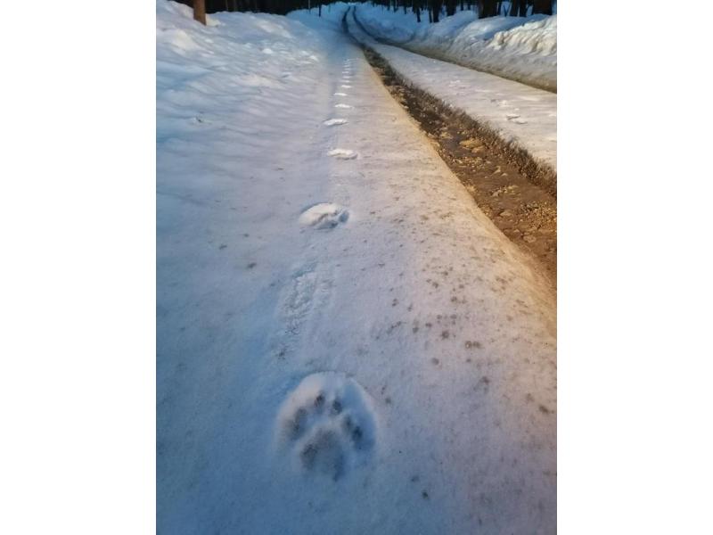 � ��������� ������� ����� � ���������� ������ ��������� � ���� �� ��� ������� �� ����