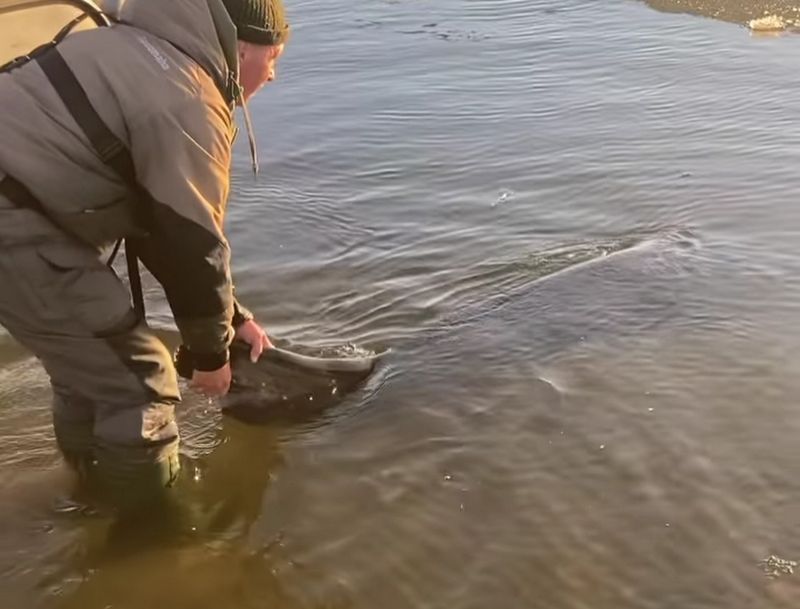 ����� ������� �� ���� ������� � ������� ������� ������������ - ����� ������, ���� ������, � ��� ������ �����