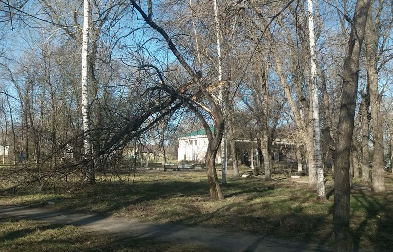 ������������� ���� ������� ��������� - ������ �������� ��� �� �����