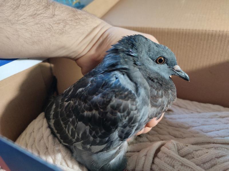 ����-�� ��� � ����� ��������? � ����������� ���������� ��������� ������ � �������������� ���������